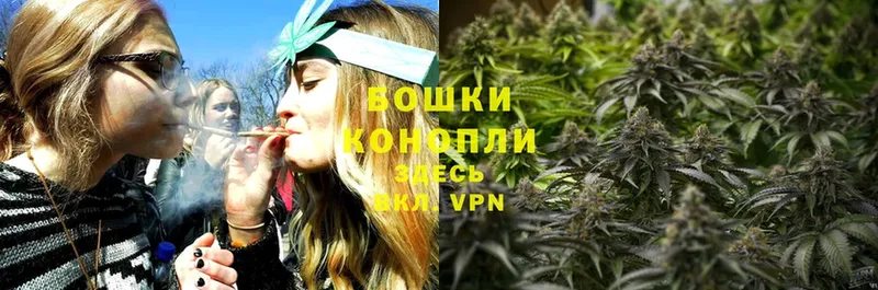 Канабис SATIVA & INDICA  Кореновск 